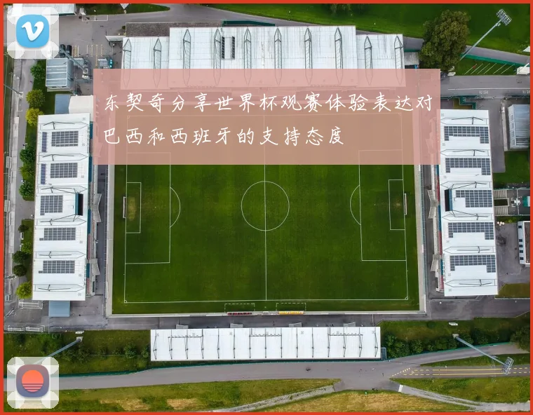 东契奇分享世界杯观赛体验表达对巴西和西班牙的支持态度